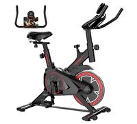 Formill QK101 Bike Dinamica, Display LCD, Sella e Braccioli Regolabili, Trasmissione a Cinghia Silenziosa, Carico Massimo 120kg, Esercizio Indoor - Nouvo