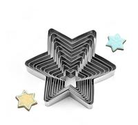 Formine per Biscotti,10 PCS Stampi Biscotti,Stampini per Biscotti,Stella Esagonale Formine per Biscotti Natale Taglierine del Biscotto in Acciaio Inossidabile per Decorazioni di Dolci di Pasticceria