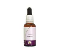 Formula Composta Australian Living - Essence of Creativity 30 ml