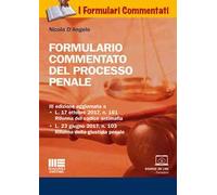 Formulario commentato del processo penale. Con CD-ROM