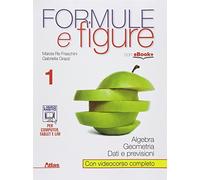 Formule e figure. Per le Scuole superiori. Con e-book. Con espansione online (Vol. 1)