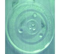 Forno a microonde piatto/piatto girevole/piatto in vetro per forno a microonde # Sostituisce Severin Forno a microonde piatto # diametro Ø 31,5 cm/315 mm # ricambio Teller # parte di ricambio per il forno a microonde # ricambio # senza piatto rotante anello # senza Hub # senza briglia