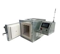 Forno elettrico programmabile 1300C/2372F Camera da 11,5 L Touchscreen e modulo Wi-Fi