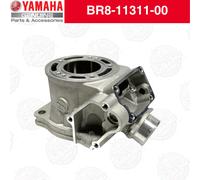 FORO STOCK BROCCA CILINDRO ORIGINALE YAMAHA adatto 2018 -2024 YZ65 YZ 65 BR8-...