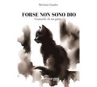 Forse non sono Dio. Cronache di un gatto