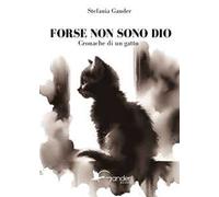 Forse non sono Dio. Cronache di un gatto
