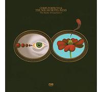 Chris Forsyth and The Solar Motel B The Rarity of Experience Pts. I & (Vinyl LP)