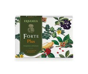 FORTE PLUS 14FL DA 10ML S/GL ERB