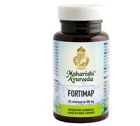 FORTIMAP 60CPR 60G