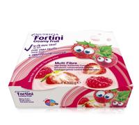 Fortini Creamy Fruit Frutti Rossi Nutricia 4x100 G