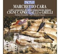 Marchetto Cara Marchetto Cara E Altri Compositori Del Primo Rinascimento... (CD)