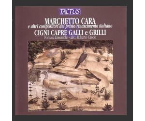 Fortuna Ensemble/Marchetto Cara by Fortuna Ensemble (2011-11-11)