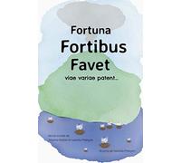 Fortuna Fortibus Favet: A Choose-Your-Own-Adventure