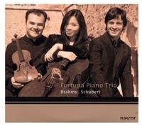 Fortuna Piano Trio - Schubert-Brahms