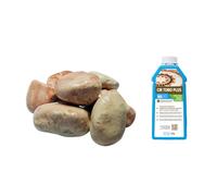 FORTUNATO Ciottoli Decorativi in Marmo Rosa Corallo, 25/40 mm, per Giardino e Aiuole, con Protettivo CIR TONO PLUS (Misura : 25/40, Formato : 5 kg + 1 L)