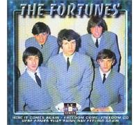 Fortunes, the - You've Got Your Troubles