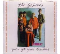 Fortunes - World of the Fortunes: You've Got Your Troubles
