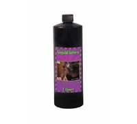 Forum Novelties Liquid Latex Costume Makeup: Quart One Size