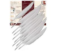 Forum Traiani Piume da scrivere, 10 pezzi, per calligrafia, a forma di piuma da ritagliare, per calligrafia, a forma di piuma d'oca