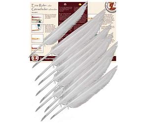 Forum Traiani Piume da scrivere, 10 pezzi, per calligrafia, a forma di piuma da ritagliare, per calligrafia, a forma di piuma d'oca