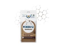 Forza10 Intestinal Colon Fase I: 4 kg