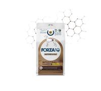 FORZA 10 DIET ACTIVE LINE INTESTINAL COLON FASE 1 AGNELLO & SORGO BIANCO 1,5 KG.