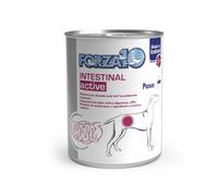 Forza 10 dog active intestinal pesce 390gr