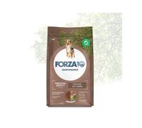 Forza 10 dog maintenance adult agnello medium 12kg