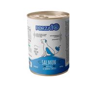 FORZA10 Dog Lattina 400G SALMONE E RISO