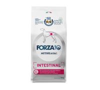 Forza 10 Intestinal active kg 10