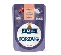 Forza 10 maintenance cat kitten 2-12 mesi salmone wet pate' 80 g