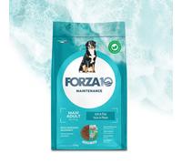 Forza 10 Maxi Adult Maintenance al Pesce, 12kg