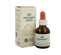 Forza Vitale Les Ampelopsis Weitchi 50ml