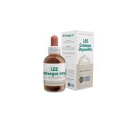 FV.LES CRATAEGUS OXYAC 50ML MG