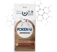 Forza10 10 Kg Forza 10 Intestinal Colon Fase 2 Active Pesce per Cani Adulti