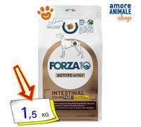 FORZA 10 DIET ACTIVE LINE INTESTINAL COLON FASE 1 AGNELLO & SORGO BIANCO 1,5 KG.