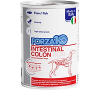 Forza10 Actiwet Cane Intestinal Colon 390 gr - Salmone e sgombro - 1° ORDINE? scegli lo sconto BZR5 / BZR20 + 200 punti fedeltà