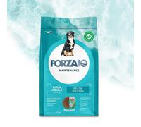 Forza10 Cane Maintenance Maxi Adult Pesce - 12kg