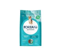 FORZA10 CANE MEDIUM ADULT AL PESCE (12 Kg) - Crocchette per cani adulti per il benessere quotidiano