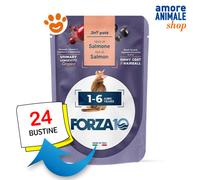 Forza10 Cat Mantenimento Adult 1-6 Salmone in Patè Gatti Bustina da 80 gr