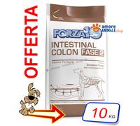 Forza10 Active Cane Intestinal Colon Fase 2 10 kg - Croccantini per cani - 1° ORDINE? scegli lo sconto BZR5 / BZR20 + 200 punti fedeltà