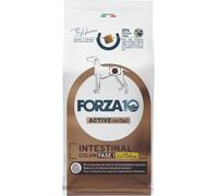 Forza10 Active Cane Intestinal Colon Fase 1 con Agnello e Sorgo bianco: 10 Kg