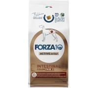 Forza10 Dog Active Vet Diet Intestinal Colon Fase 2 10KG