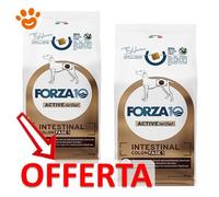 Forza10 - Active Intestinal Colon Fase UNO kg. 10 [ Ex Intestinal Colitis - Graziano Pengo Formula ]