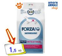 Forza 10 active intestinal dogmi&t adult pesce dry 1,5 kg