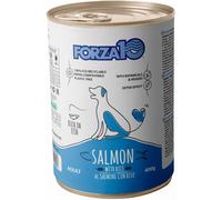 FORZA10 Dog Lattina 400G SALMONE E RISO