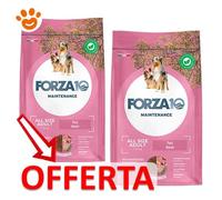 Forza 10 - Maintenance Adult All Size con Maiale da 12 Kg