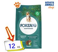 Forza 10 - Maintenance Adult Medium con Cervo e Patate da 12 Kg