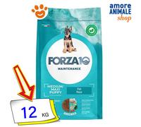 Forza10 Maintenance Puppy Junior Medium/Large al Pesce: 12 Kg