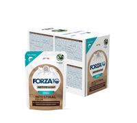 FORZA10 Gatto Intestinal Colon Pesce 12 x 80 g Supporto assorbimento intestinale